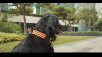 小七最新爆料新闻,最新爆料新闻背后的惊人真相